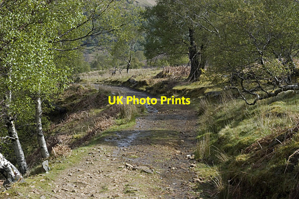 Photo 6"x4" Track to Corrie Hallie Dundonnell c2009