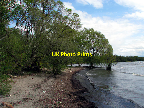 Photo 6"x4" Lough Neagh Shoreline Antrim c2009