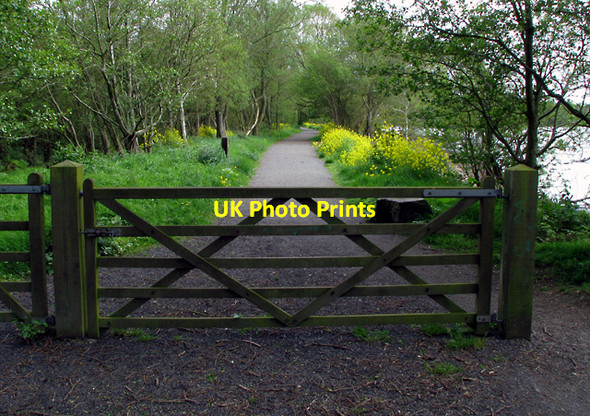 Photo 6"x4" Entrance to Rea's Wood near Antrim Antrim c2009