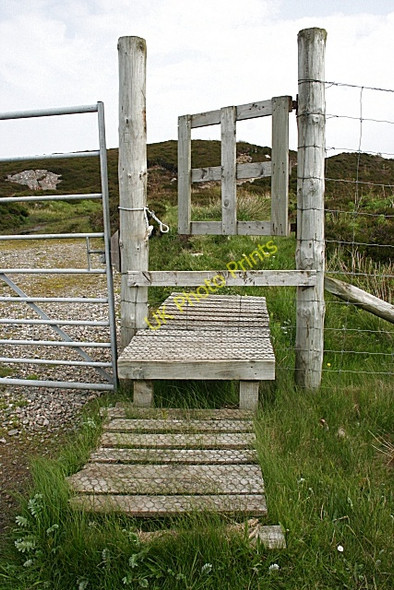 Photo 6"x4" Deer Fence Stile Cairinis c2009