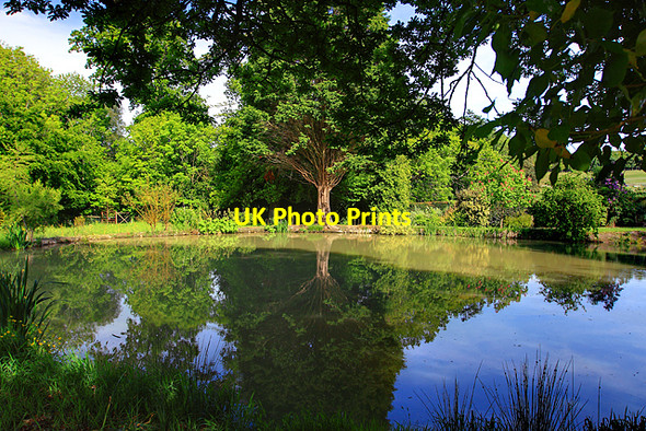 Photo 6"x4" Open Day at Rempstone Hall - Garden Pond Bushey\/SY9883 c2009