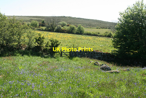 Photo 6"x4" Widecombe in the Moor: towards Wind Tor Higher Dunstone c2009