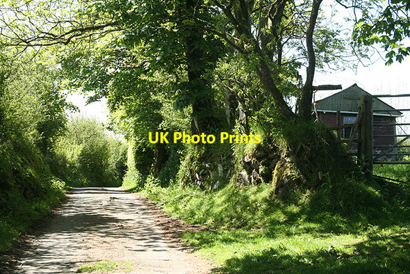 Photo 6"x4" Widecombe in the Moor: lane near Dockwell Higher Dunstone c2009