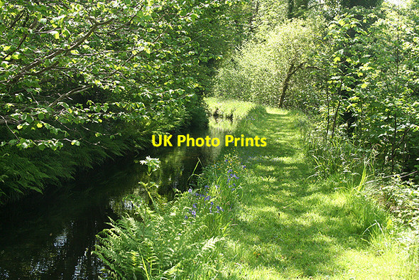 Photo 6"x4" Widecombe in the Moor: Old Walls leat 1 Higher Dunstone c2009