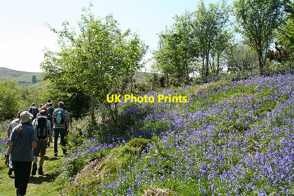 Photo 6"x4" Widecombe in the Moor: bridleway near Jordan Higher Dunstone c2009