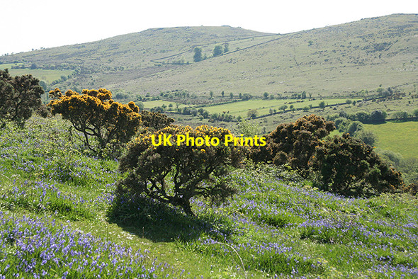 Photo 6"x4" Widecombe in the Moor: towards Corndon Tor Higher Dunstone c2009