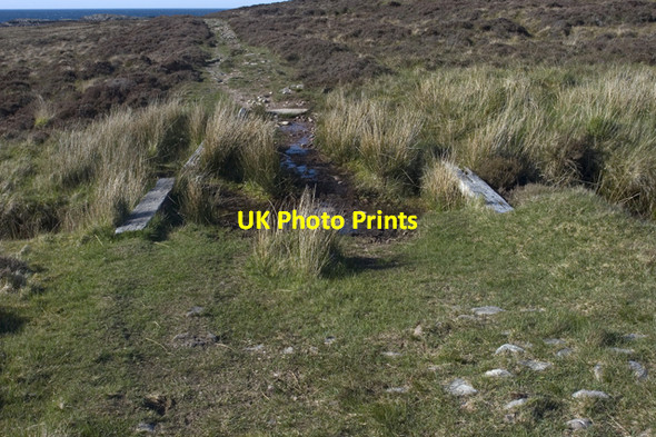 Photo 6"x4" Moorland track Mellon Udrigle c2009