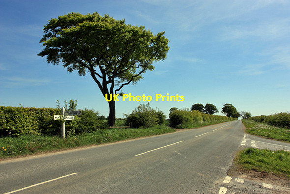 Photo 6"x4" The Roman Road, The Bence Painsthorpe c2009
