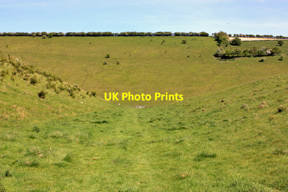 Photo 6"x4" Down Worm Dale Painsthorpe c2009