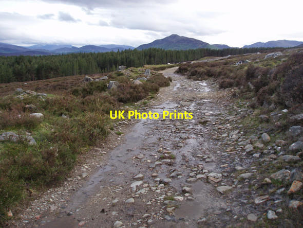 Photo 6"x4" Moorland track north of plantation Strone\/NH7100 c2009
