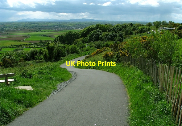 Photo 6"x4" Path to Scrabo Newtownards c2009