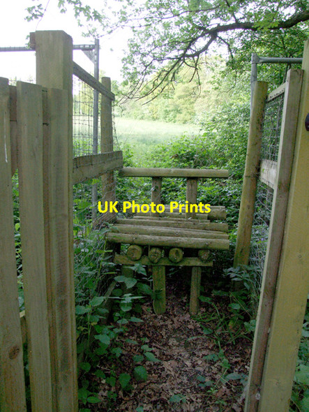 Photo 6"x4" Edge of the wood Broad Street\/TQ8356 c2009 P5