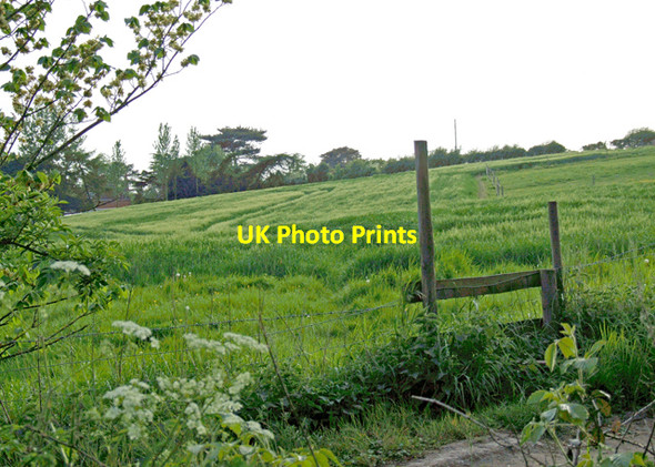 Photo 6"x4" Bridge Farm Bearsted c2009