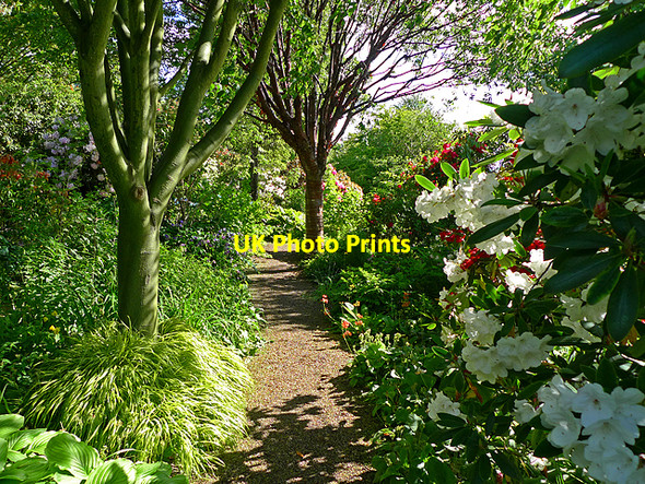 Photo 6"x4" Branklyn Garden Perth\/NO1123 c2009 P1