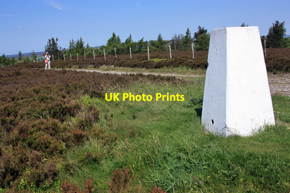 Photo 6"x4" Trig point on Helmsley Moor Roppa Wood c2009