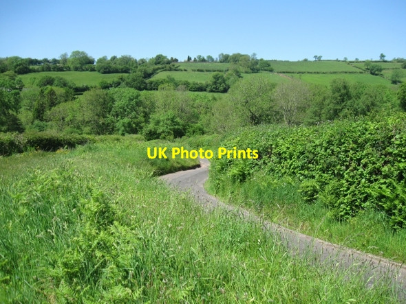 Photo 6"x4" Looking downhill about 200m North of Gellygron Twynllanan c2009