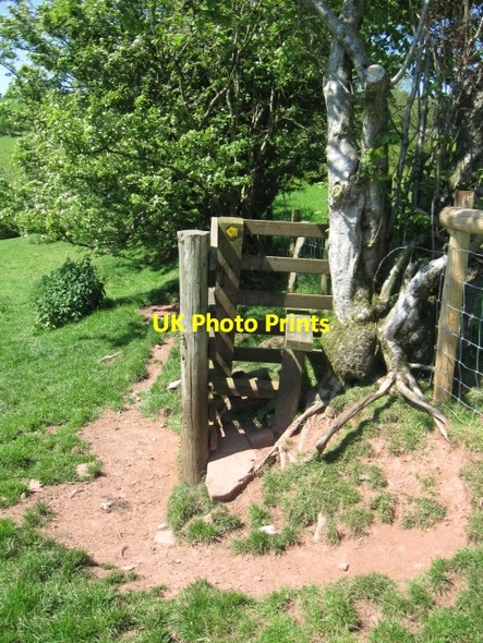 Photo 6"x4" Superfluous stile near Cefngeudrum farm Talsarn\/SN7726 c2009