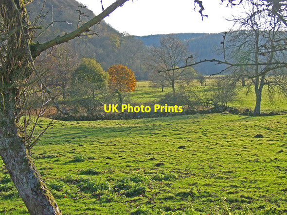 Photo 6"x4" Near Rievaulx Abbey Rievaulx c2007