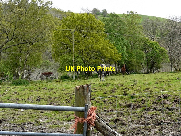 Photo 6"x4" Have you brought some grub? Carno\/SN9596 c2009