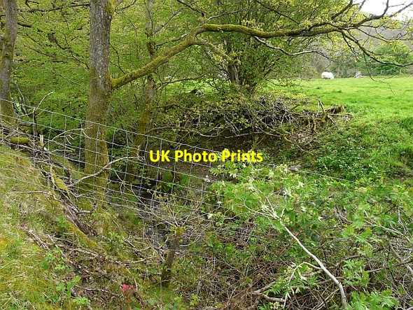 Photo 6"x4" Stream beside the road Carno\/SN9596 c2009