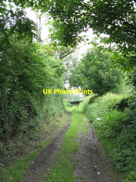 Photo 6"x4" Track Toward The Ship Canal Lymm c2009
