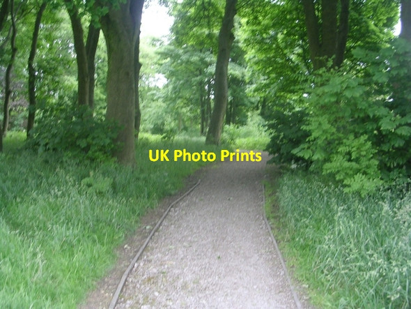 Photo 6"x4" Footpath - Shelf Hall Park Woods Shelf\/SE1228 c2009