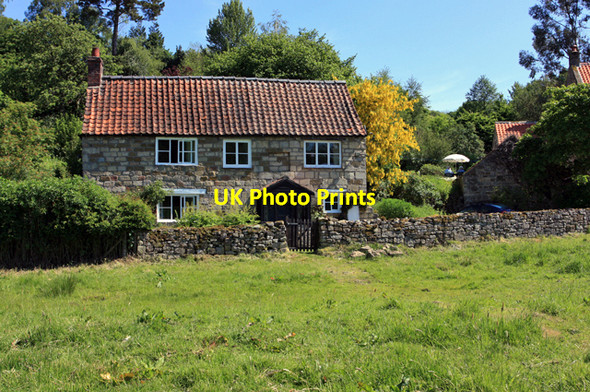 Photo 6"x4" A farm cottage near Rievaulx Abbey Rievaulx c2009 P1