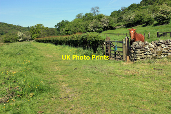 Photo 6"x4" The watcher by the gate Rievaulx c2009