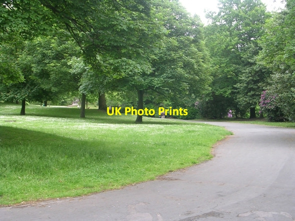 Photo 6"x4" Harold Park - Cemetery Road Low Moor\/SE1528 c2009