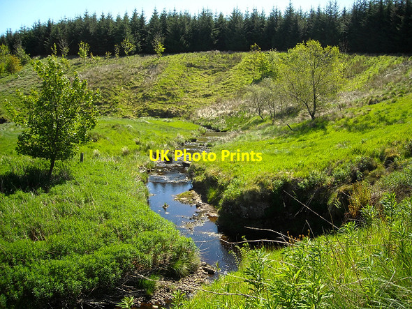 Photo 6"x4" Pogiven Burn Glen Water\/NS5741 c2009