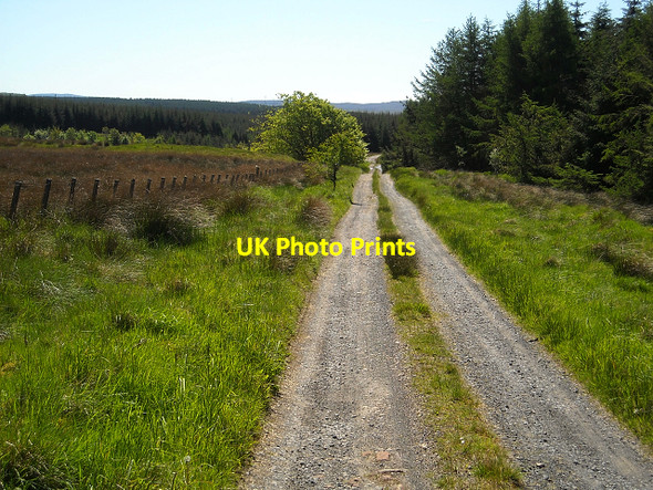 Photo 6"x4" Track from High Overmuir Meadow Hill\/NS5743 c2009
