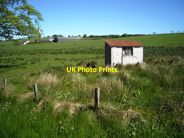 Photo 6"x4" Shed Near Windshields Farm Darvel c2009