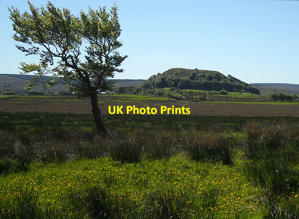 Photo 6"x4" Rough Grazing with Loudoun Hill Beyond Drumclog c2009