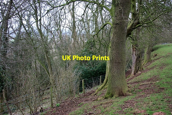 Photo 6"x4" Scarp slope of Red Hill Ullingswick c2009
