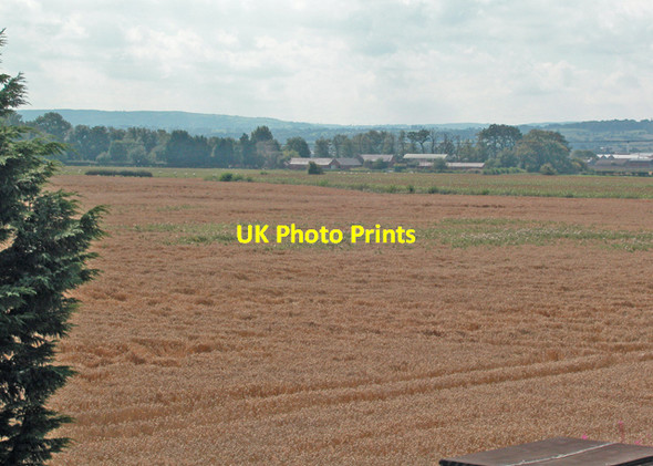 Photo 6"x4" Awaiting harvest Saltney c2005