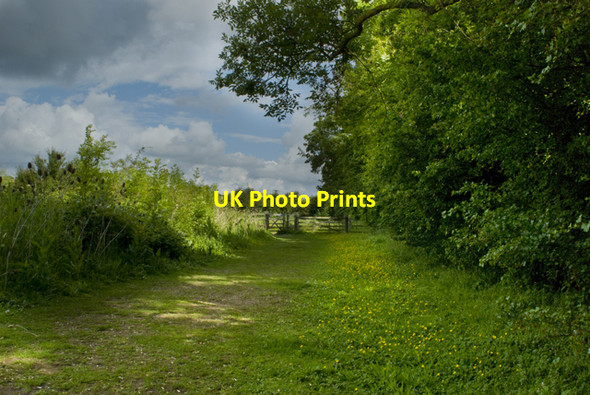 Photo 6"x4" Summer Leys Nature Reserve Great Doddington c2009