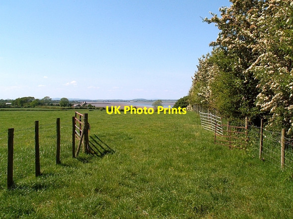 Photo 6"x4" Field near Glasson Glasson\/NY2560 c2009