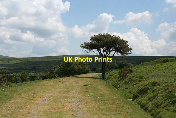 Photo 6"x4" Walkhampton: Princetown branch formation 1 Walkhampton c2009