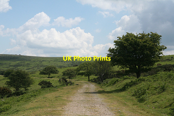 Photo 6"x4" Walkhampton: Princetown branch formation 2 Sampford Spiney c2009