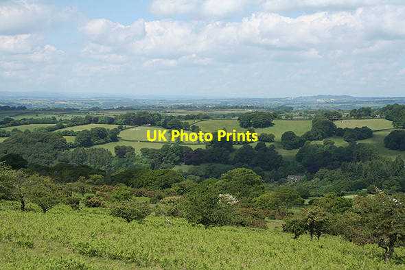 Photo 6"x4" Walkhampton: above the Walkham valley Sampford Spiney c2009