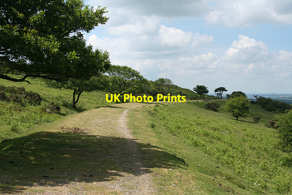 Photo 6"x4" Walkhampton: Princetown branch formation 3 Sampford Spiney c2009