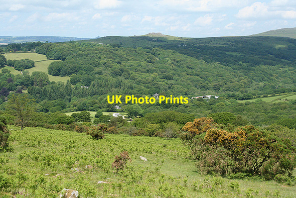 Photo 6"x4" Walkhampton: towards Eggworthy Sampford Spiney c2009
