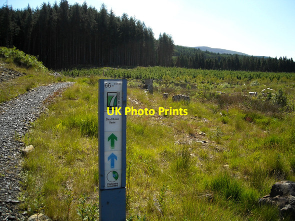 Photo 6"x4" Cycle Trail in Glentrool Forest Glentrool Village c2009