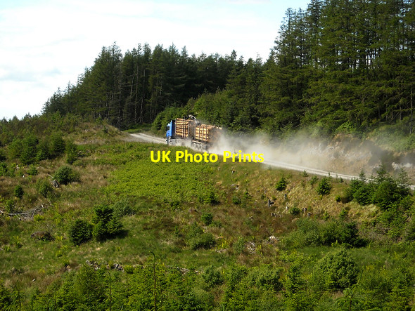 Photo 6"x4" Logs Leaving Glentrool Forest Glentrool Village c2009