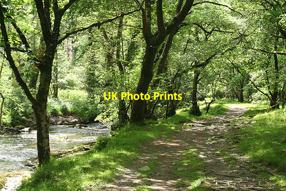 Photo 6"x4" Whitchurch: Lower Walkham Valley 2 Grenofen c2009