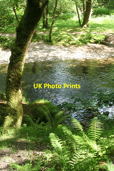 Photo 6"x4" Whitchurch: Lower Walkham Valley 4 Grenofen c2009