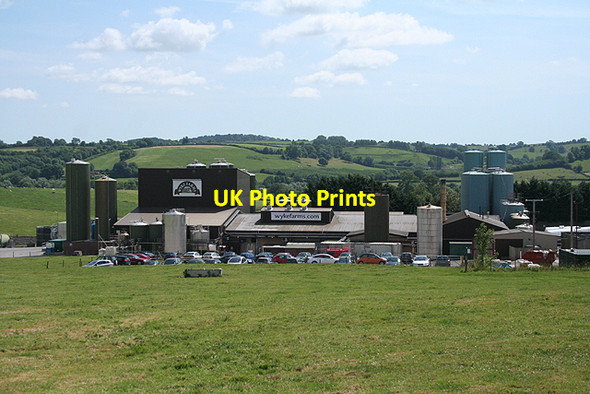 Photo 6"x4" Bruton: Wyke Farms Wyke Champflower c2009