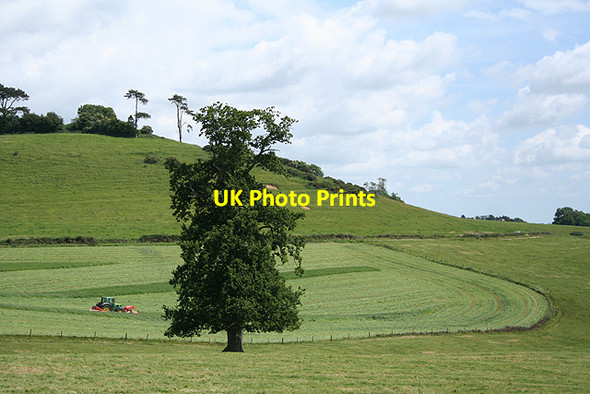 Photo 6"x4" Bruton: near Wyke Champflower Wyke Champflower c2009