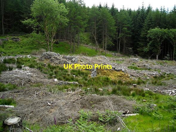 Photo 6"x4" Ruined Structure in Glentrool Forest Bargrennan c2009