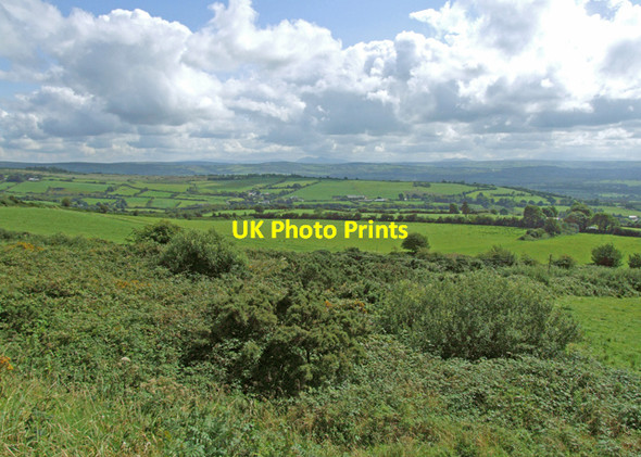 Photo 6"x4" Viewpoint near Crinny West Castleisland c2008 P1